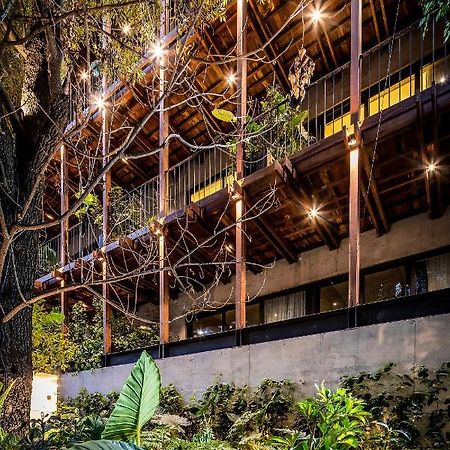 Ana Polanco Apartments Mexico City Exterior photo